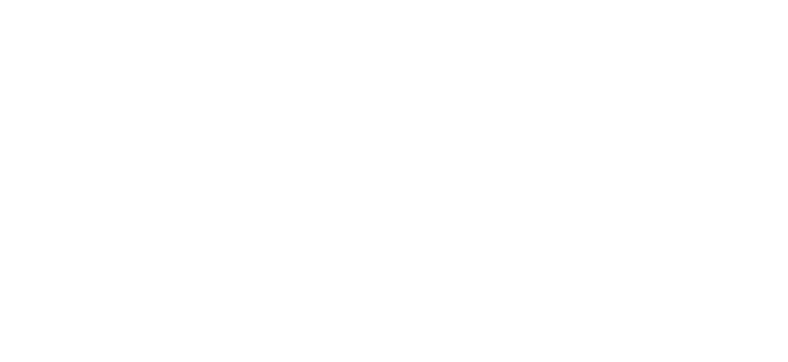 ANNA HERZOG LOGO white