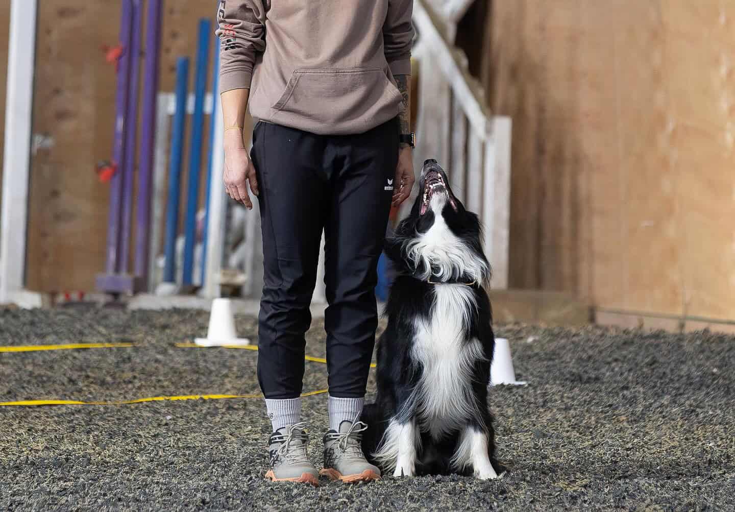 Anna Herzog dog trainer